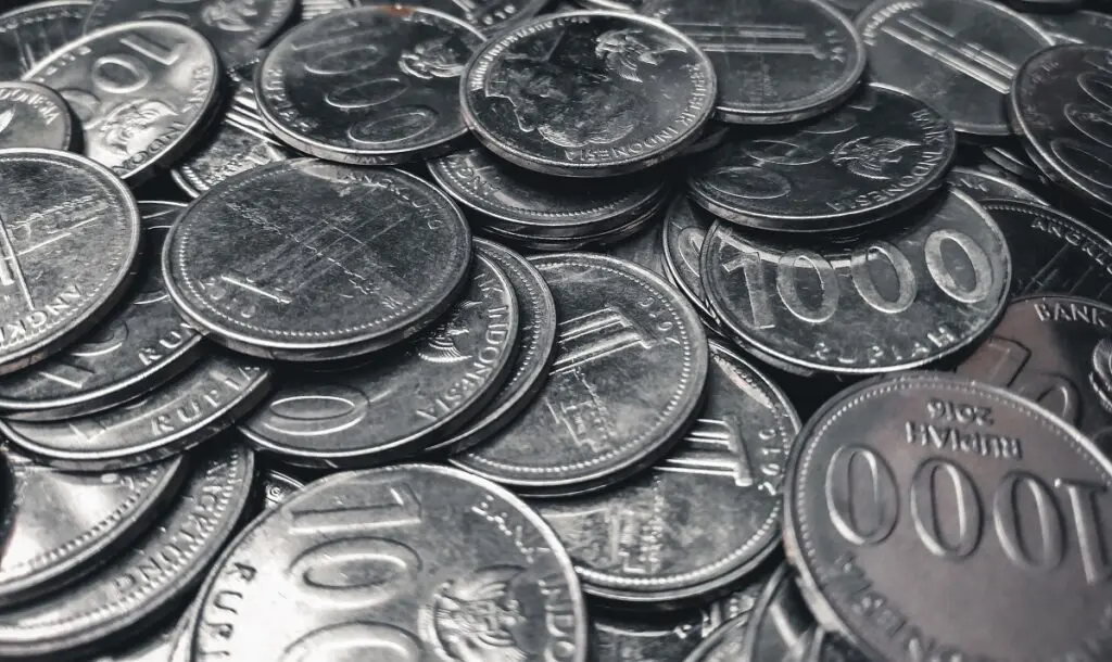 Silver Coins: Flexible but Bulkier